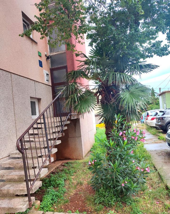 Apartman Levi 普拉 外观 照片